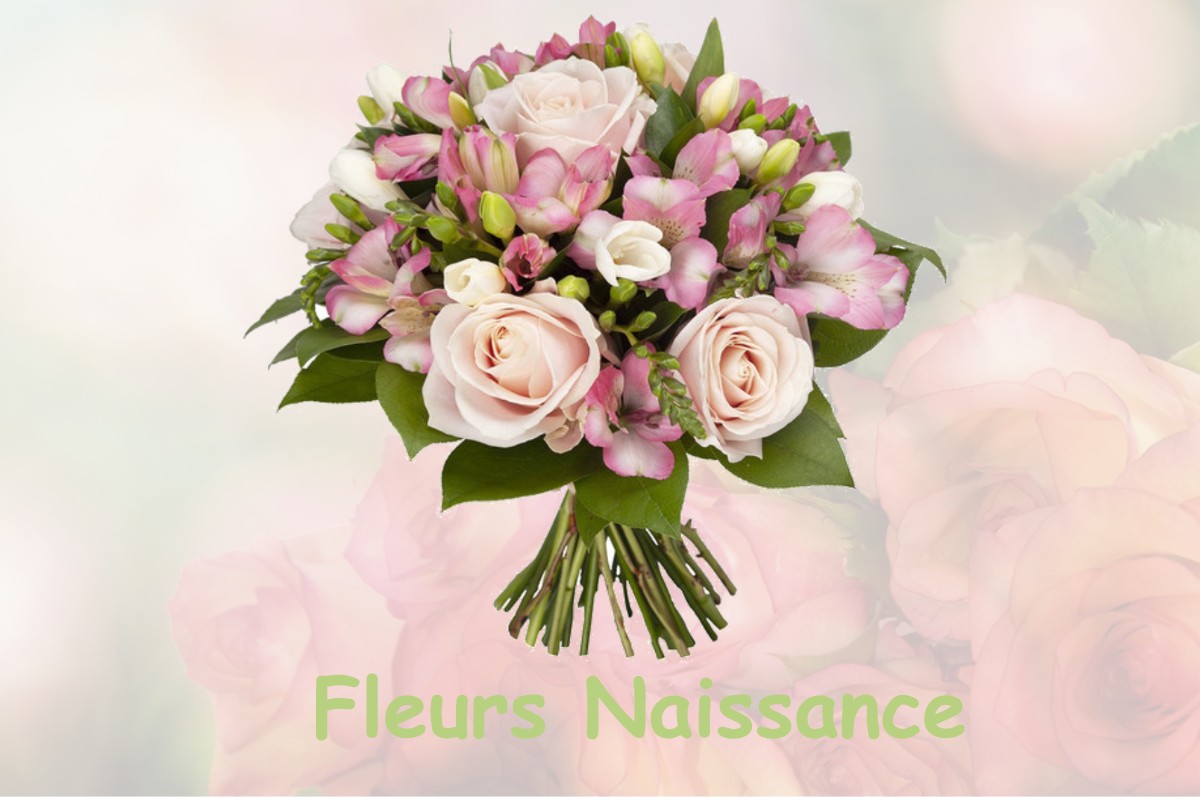 fleurs naissance DAMMARIE-EN-PUISAYE