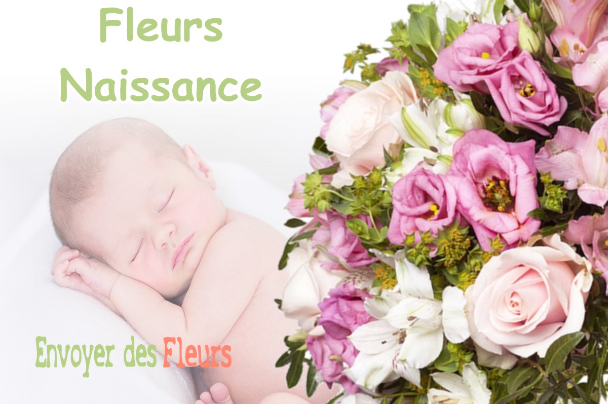 lIVRAISON FLEURS NAISSANCE à DAMMARIE-EN-PUISAYE